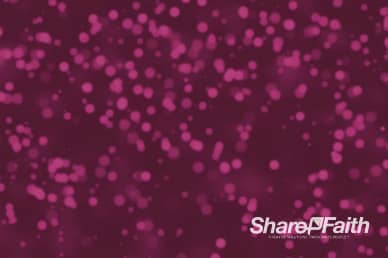 Shimmering Pink Lights Worship Video Background