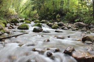 River Rapids Ministry Stock Photo