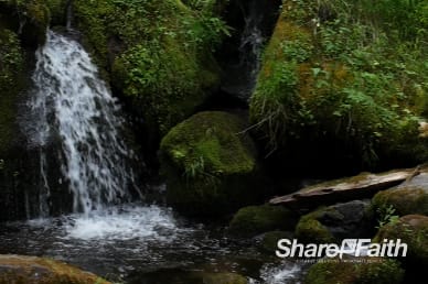 River Stream Waterfall Video Loop