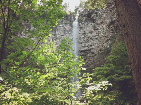 Waterfall Through The Trees Background Image