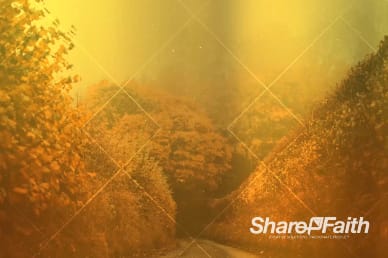 Autumn Lights Worship Video Background