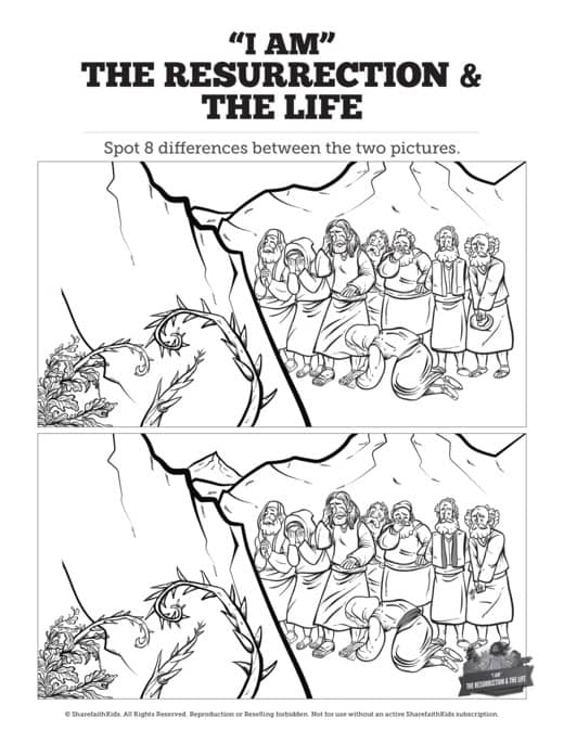 John 11 I am the Resurrection and the Life Kids Spot the Difference