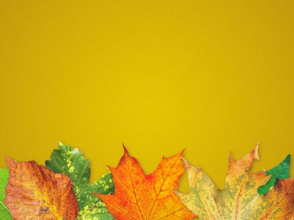 Fall Back Autumn Leaves Worship Background
