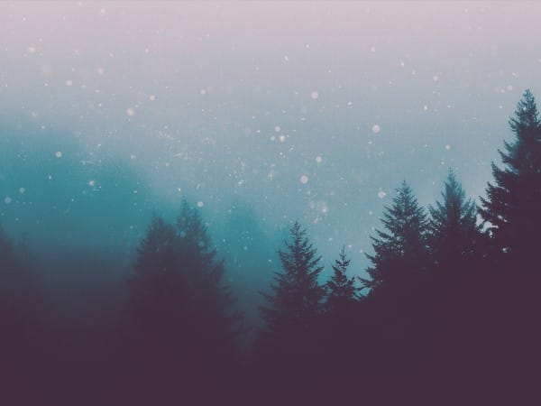 Christian Christmas Forest Worship Background