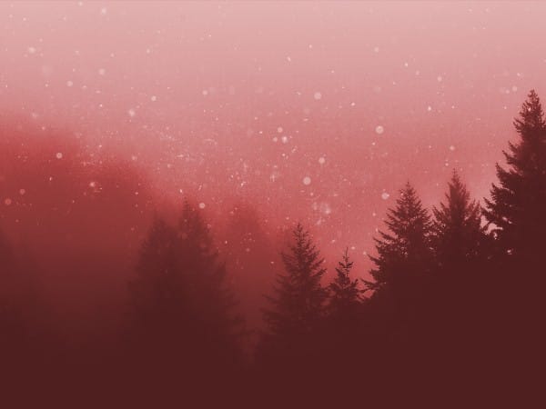 Christmas Forest Christian Background