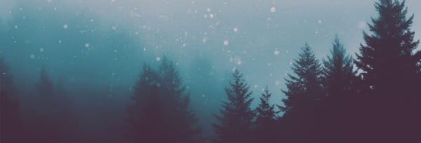 Christian Merry Christmas Website Banner