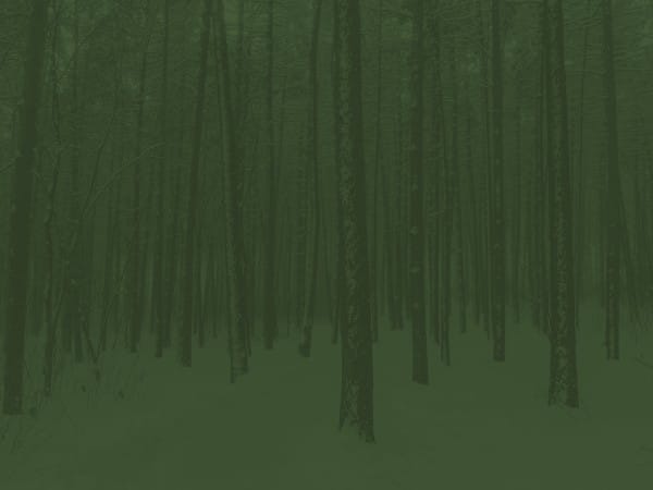 Winter Retreat Forest Church Background