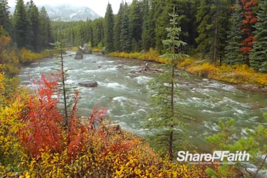 Forest River Worship Motion Background