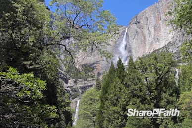 Yosemite Falls Forest Church Motion Background