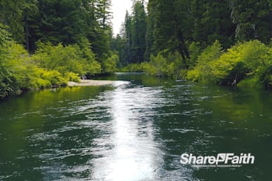 Tranquil Forest River Motion Background