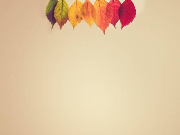 Small Groups Autumn Leaves Worship Background