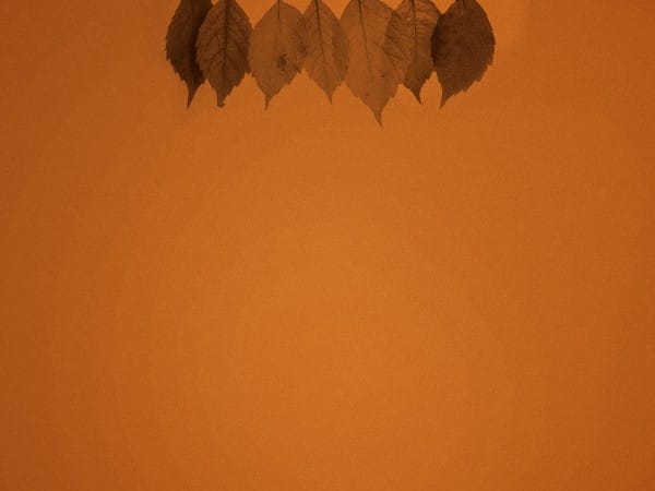 Small Groups Fall Worship Background