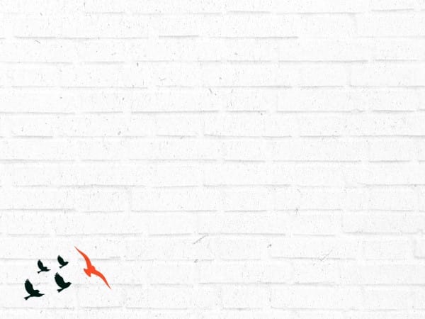 Freedom and Purpose Church Worship Background