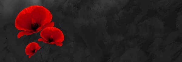 Remembrance Day Church Website Graphic