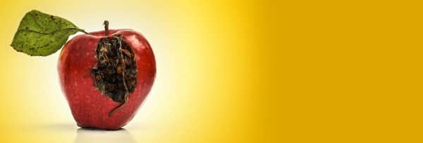 Truth & Consequences Church Website Banner