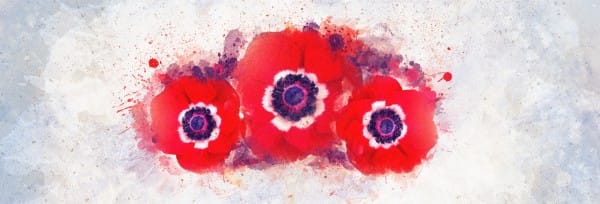 Remembrance Day Service Website Banner