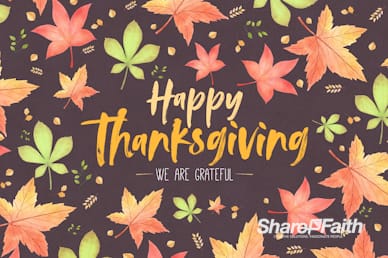 Happy Thanksgiving Holiday Service Motion Loop