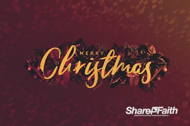 Merry Christmas Holly Greetings Motion Graphic