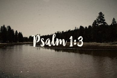 Psalm 1:3 Scripture Mini Movie
