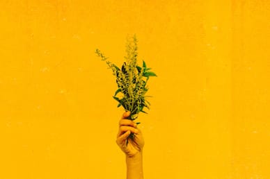 Generous Flowers No Text Church Video