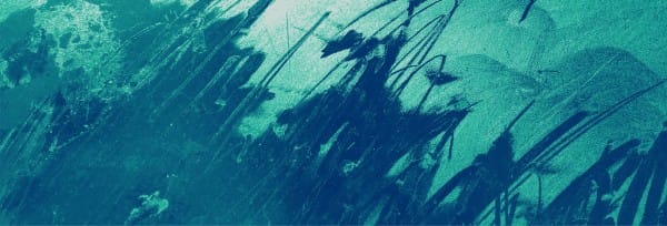 Baptism Sunday Green Website Banner
