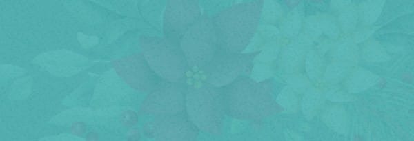 Simply Christmas Church Website Banner
