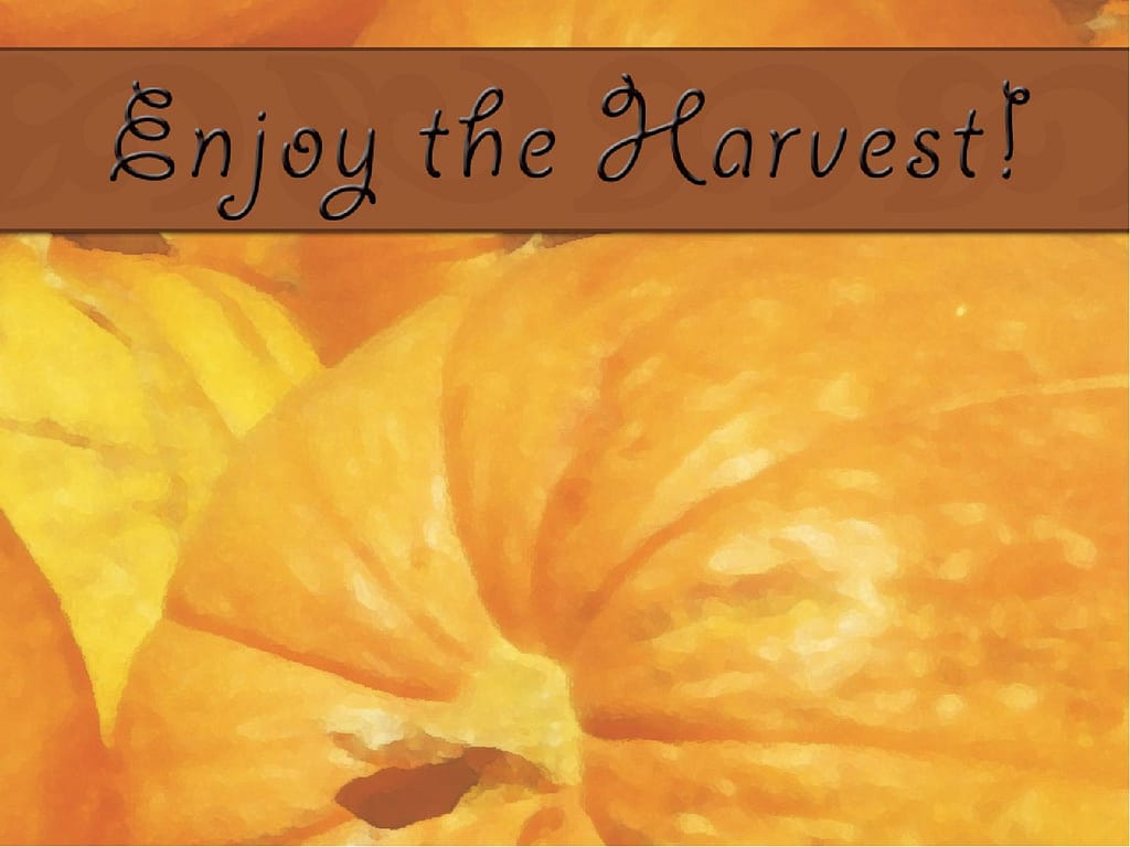 Harvest Pumpkins PowerPoint
