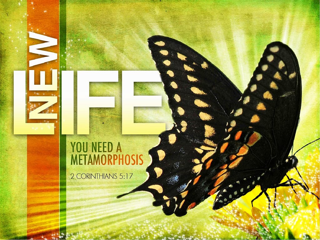 New Life PowerPoint