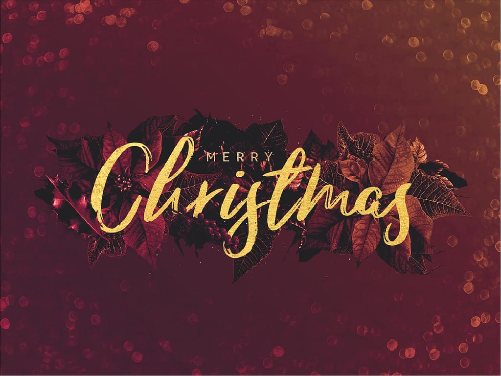 Merry Christmas Holly Service Graphic
