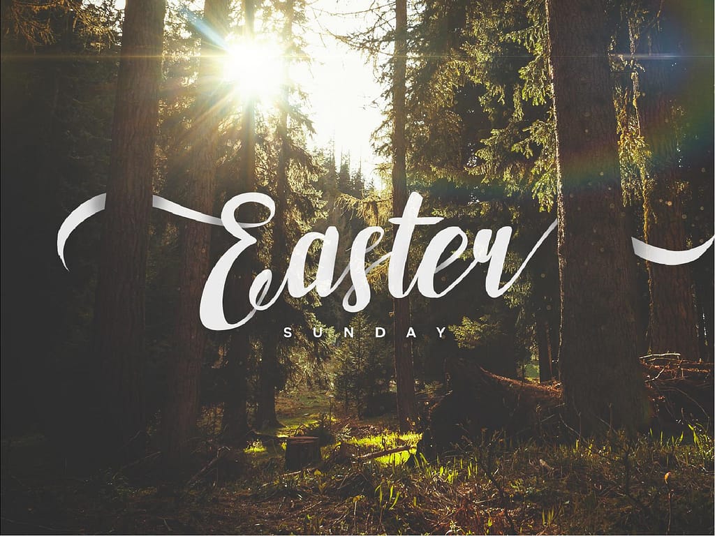 Easter Sunday Forest Church PowerPoint