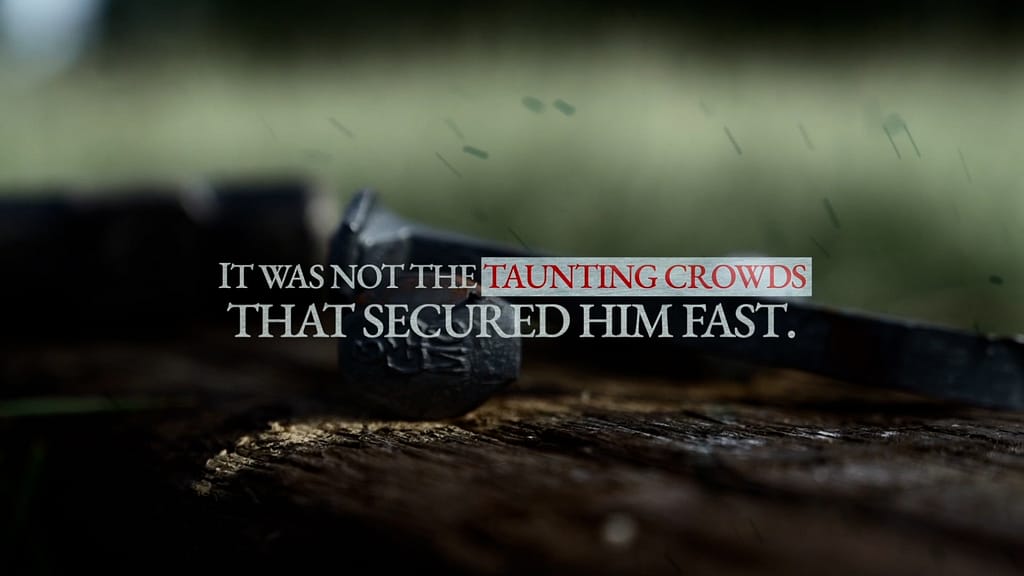 Passion – It Wasn’t The Nails: Trailer 1