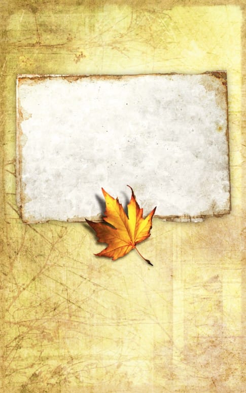 Autumn Leaf Bulletin Cover
