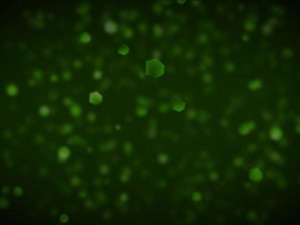 Green Abstract Worship Background