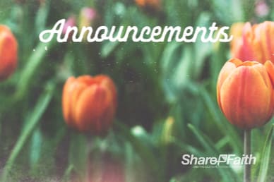 Spring Forward Tulip Announcements Bumper Video