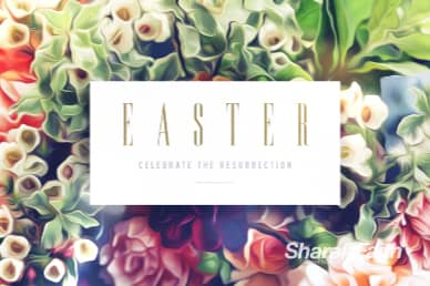 Easter Flower Church Video Loop