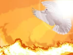 Dove and Fire Photo Background