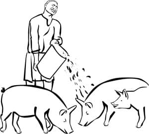 Prodigal Son Feeding Pigs Clipart