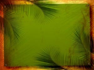 Palm Sunday Wallpaper Background