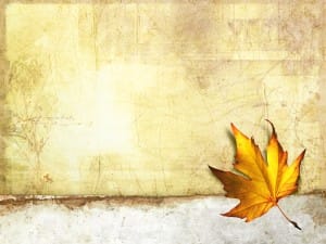 Fall Leaf Worship Background