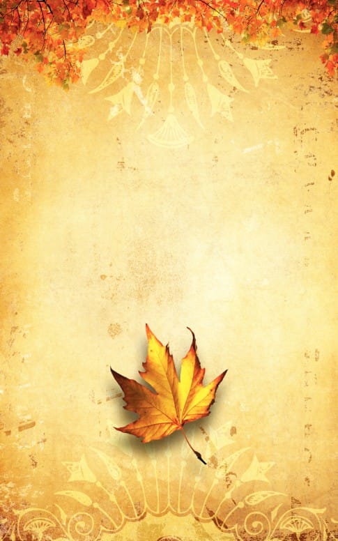 Fall Leaf Bulletin Cover