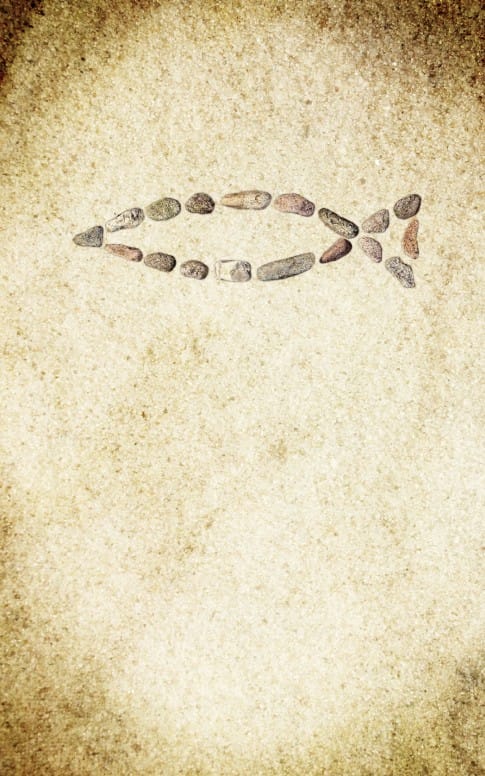 Fish Symbol Bulletin Cover