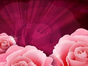 Pink Roses Worship Background