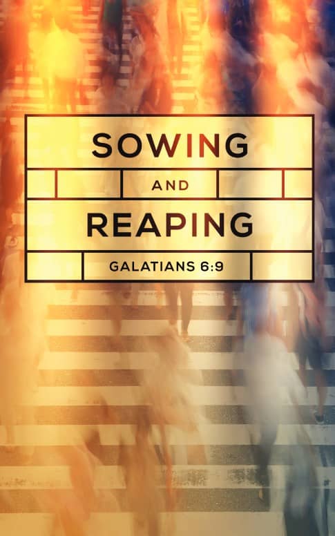 Sowing and Reaping Ministry Bulletin