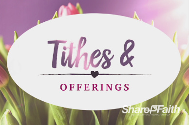 Pink Tulip Mother's Day Christian Offerings Video Background