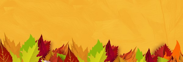 Church Fall Kickoff Autumn Leaf Website Banner