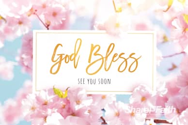 Mother's Day Cherry Blossom Goodbye Motion Graphic