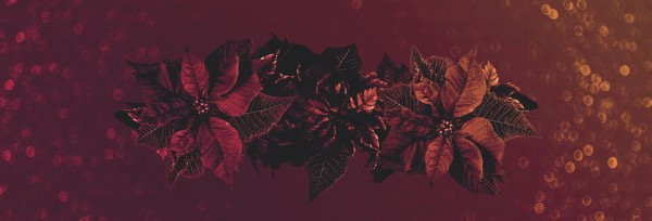 Merry Christmas Holly Service Website Banner