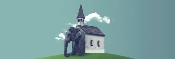 The Elephant In The Church Website Banner