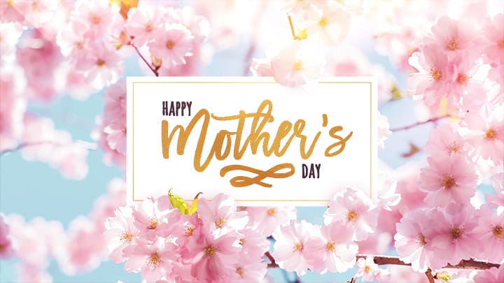 Mother's Day Cherry Blossom PowerPoint Template