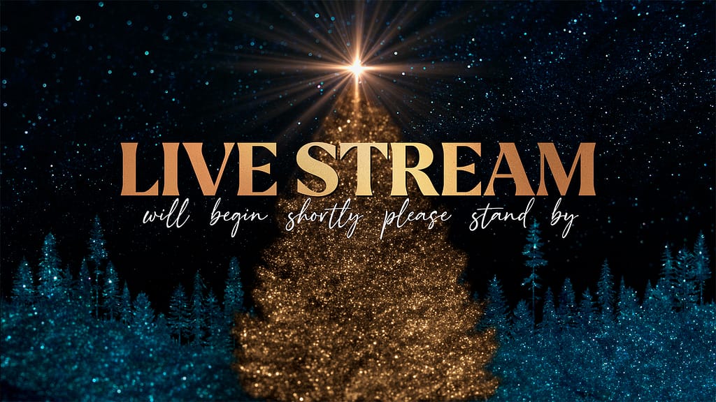 Sparkling Christmas Collection: Live Steam Start